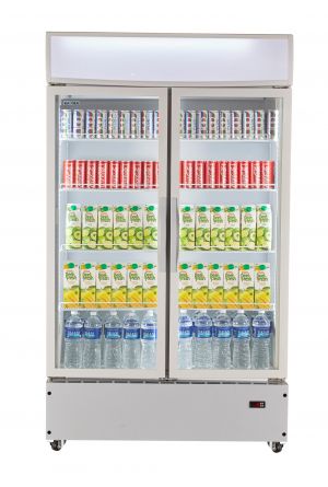 Kadeka Best Upright Beverage Chiller with 2 doors 